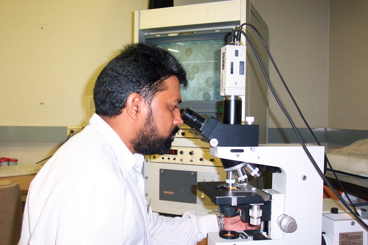 Completed PhD Theses: Faculty of Education